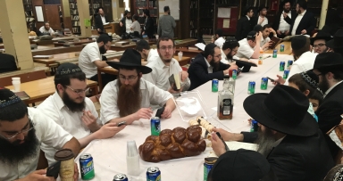 תמונת היום 