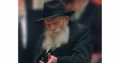 11 שנה לי"ט כסלו תשנ"ג - "שנה שמלך המשיח נגלה בו"
