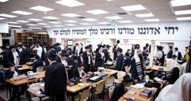 אלע צפתים צוזאמען: המבוגרים עלו לזאל 