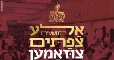 כ"ף מרחשון: אלע צפתים צוזאמען עולים לזאל