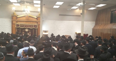 גלריה מפרשת חוקת בבית משיח