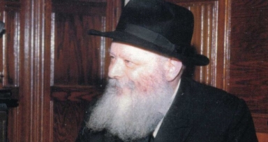 תמונה נדירה 