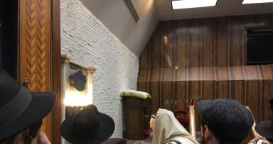 תמונת היום • דוגמא חיה 