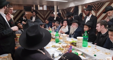 התוועדות פינת החי השבועית 