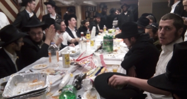 מופתים מתגלגלים בהתוועדות פינת החי 