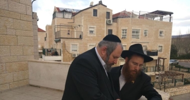תמונת הערב 