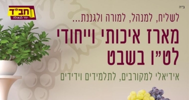 חב"ד שופ בשיתוף עם ניידות חב"ד