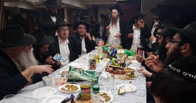 התוועדות פינת החי השבועית 