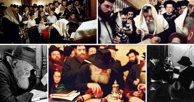 תמונות בפרסום ראשון לרגל כ"ב שבט 