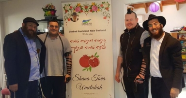 פעילות בניו זילנד 