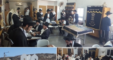 מגבית לתומכי תמימים ביצהר 