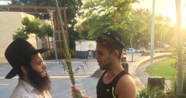מבצע לולב רחב היקף בסביון