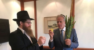 מבצע לולב ניו דלהי - הודו 