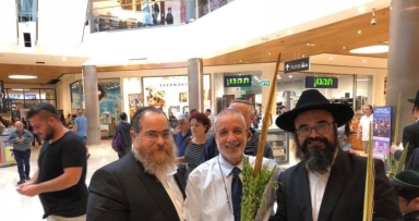 תמונת היום 