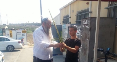 מבצע לולב בעוטף עזה 