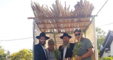מבצע לולב ברחבי ארץ ישראל 