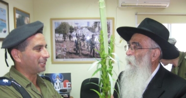 מבצע לולב בדרום ארץ ישראל 