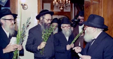 תמונה נדירה 