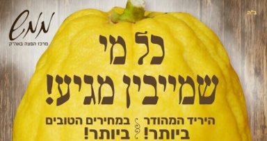 מכירה מסובסדת של ד' מינים