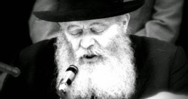 מאמרים מומלצים לפרשת האזינו 
