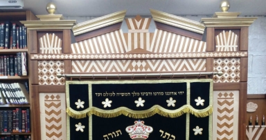תמונת היום 