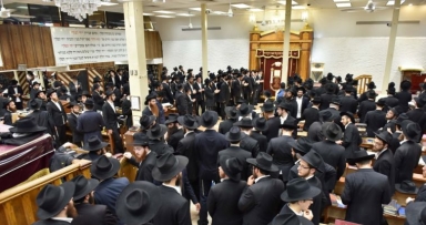 שבוע פרשת תבוא בבית משיח 770 