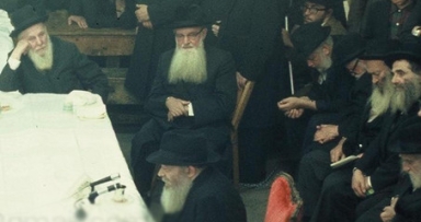 מאמרים מומלצים לפרשת נצבים - וילך 