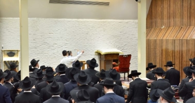 שבוע פרשת כי תצא בבית משיח