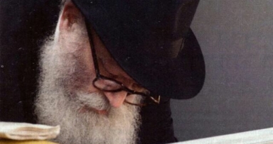 תמונה נדירה 