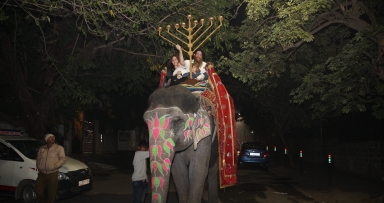 תמונת הלילה 