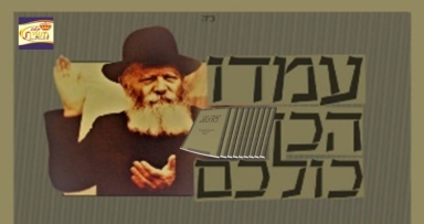 מבצע מיוחד לרגל 30 שנה דדידן נצח 