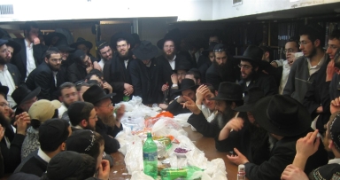 התוועדות יו"ד-י"א שבט ב"פינת החי"
