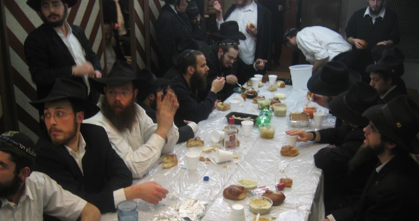 הניסים מתגלגלים ב"פינת החי"