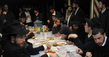 שלוחי המלך ב"פינת החי"