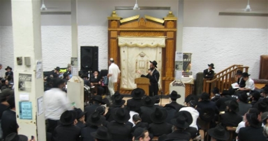 שיעור גאומ"ש היומי בנושא כשרות הלוייתן לע"ל
