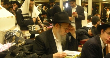 דוגמא חיה