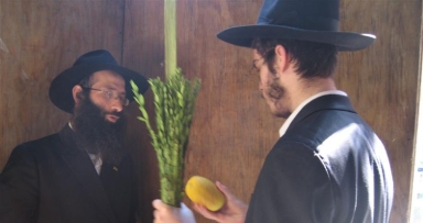 מברכים על הלולב של מלך המשיח
