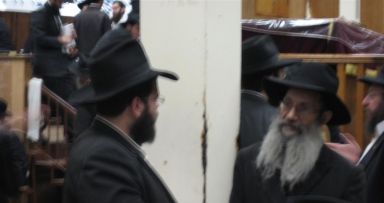 השלוחים החלו להופיע בבית המשלח