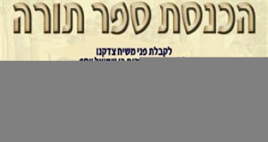 יום שלישי: הכנסת ספר תורה בדלהי