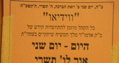 ותחזינה עינינו...