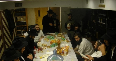 חיות מוגברת ב'פינת החי'
