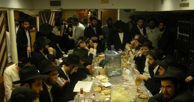 המופתים מתגלגלים ב"פינת החי"