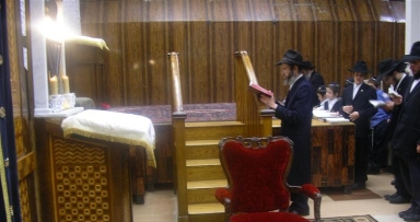 יומן, גלרייה וקטעי וידיאו מהשבוע החולף ב-770