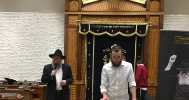 תמונת היום 