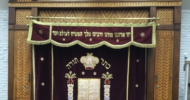 תמונת היום 