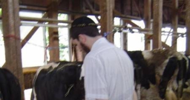 חלב ישראל ביפן