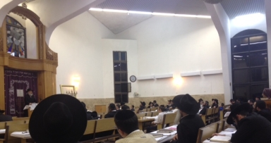 כינוס תורה בצפת 