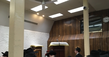 פרשת ויחי בבית משיח-גלריה 