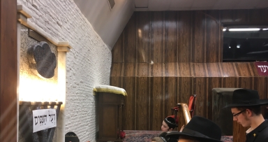 פרשת ויגש בבית משיח- גלריה 