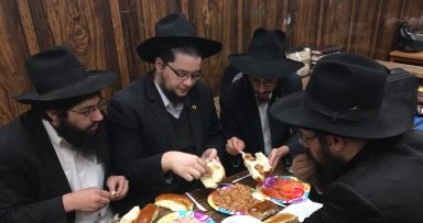 תמונת היום 